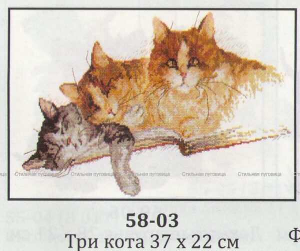 58-03