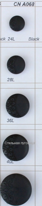 CN A068