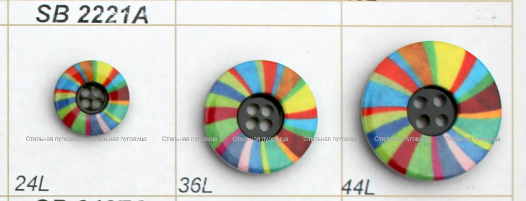 SB 2221A