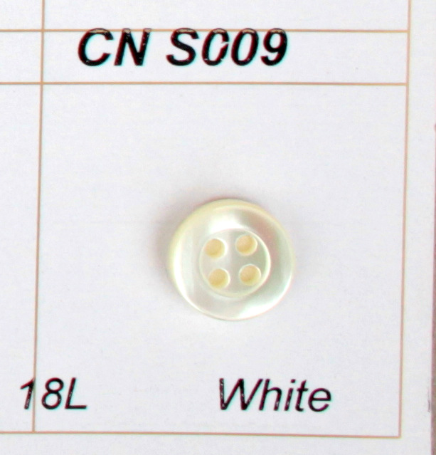 CN s009
