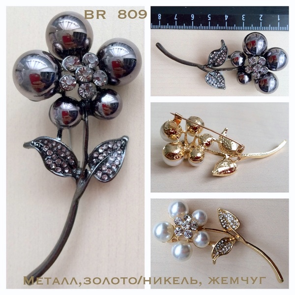 BR 809