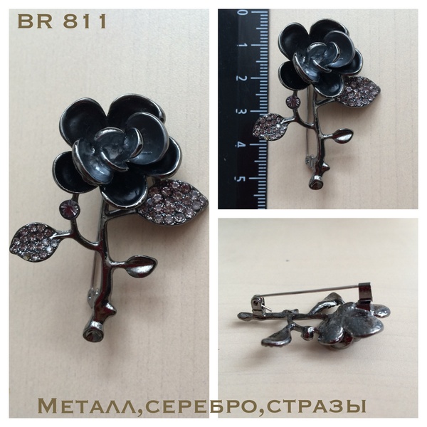 BR 811
