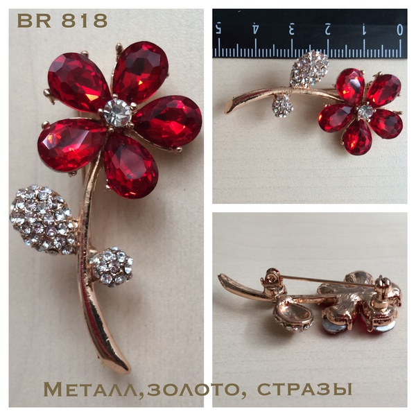 BR 818