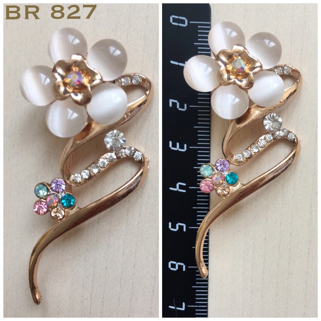 BR 827